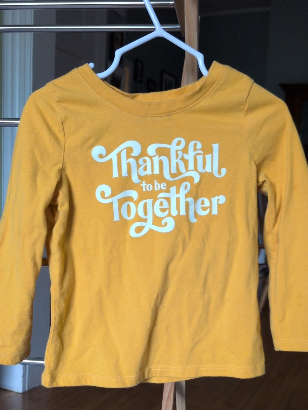 Thanksgiving shirt